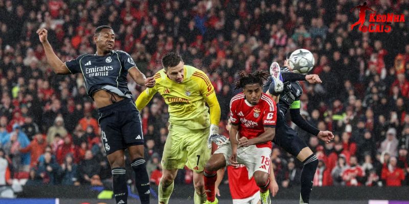 Benfica vs Real Madrid mang tới trận cầu mãn nhãn Benfica vs Real Madrid mang tới trận cầu mãn nhãn