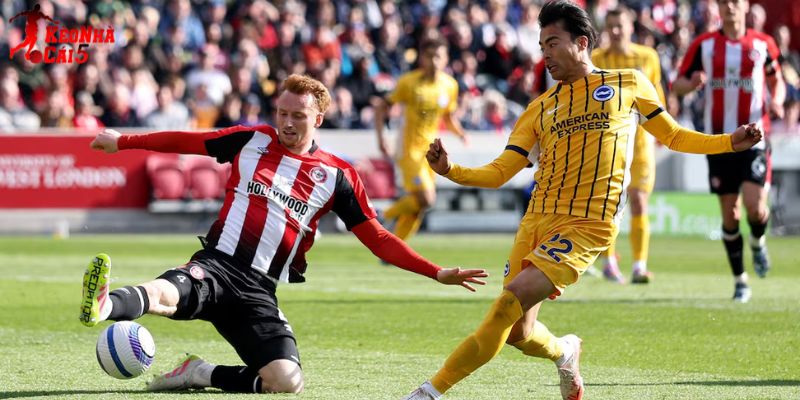 Brentford vs Brighton luôn cống hiến những trận cầu kịch tính Brentford vs Brighton luôn cống hiến những trận cầu kịch tính
