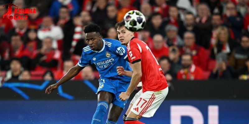 Real Madrid vs Benfica hứa hẹn tạo nên màn so tài rực lửa Real Madrid vs Benfica hứa hẹn tạo nên màn so tài rực lửa