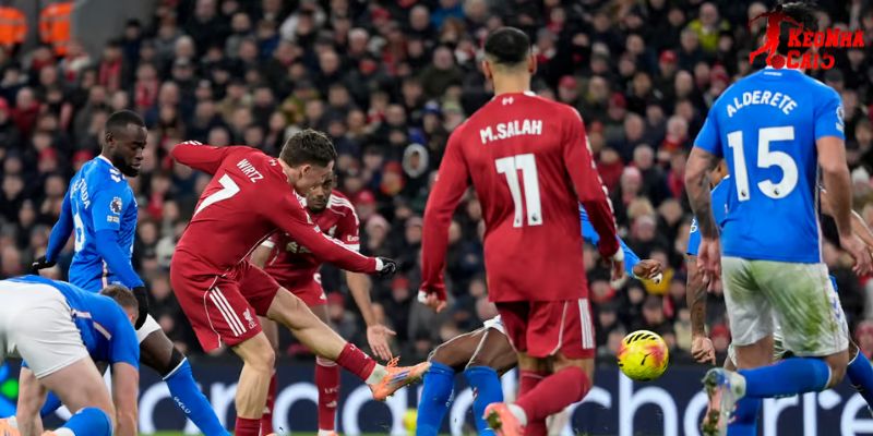 Sunderland vs Liverpool luôn cho thấy sự chênh lệch Sunderland vs Liverpool luôn cho thấy sự chênh lệch